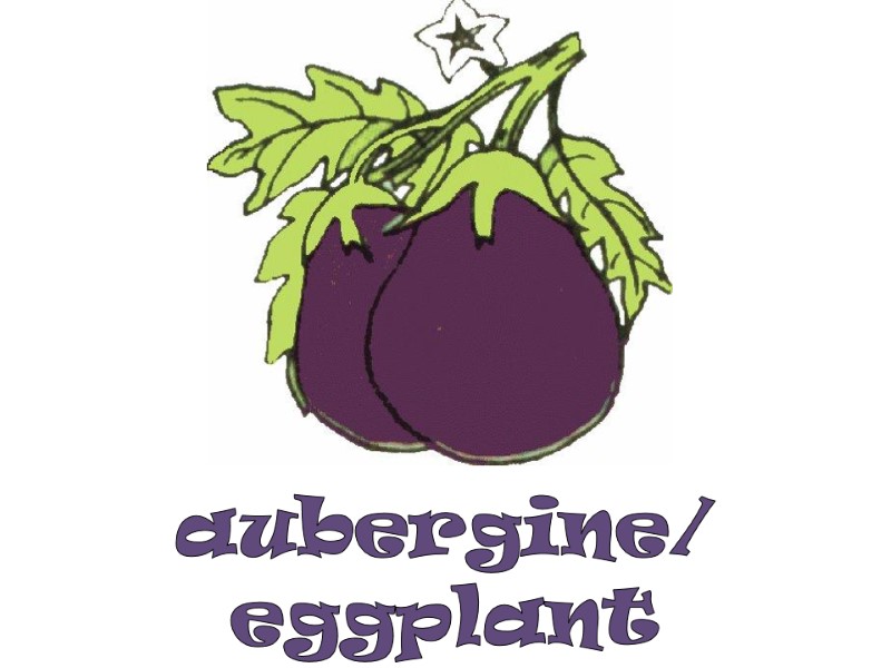 aubergine/ eggplant